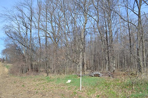 Property photo 127 - REAL ESTATE & PERSONAL PROPERTY AUCTION, 140 Acres offered in 8 Tracts or Combinations in Steuben County